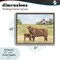 Stupell Industries Highland Cow And Calf Floating Frame, design by Jean Plout